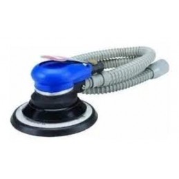 AMX LIJADORA DE PALMA...